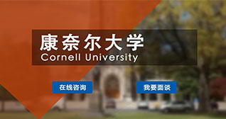 康奈尔大学